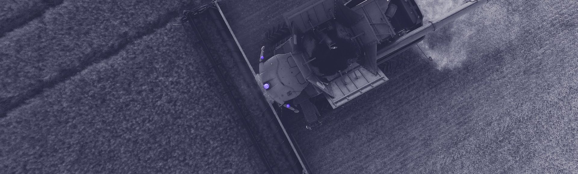 AI and Agriculture